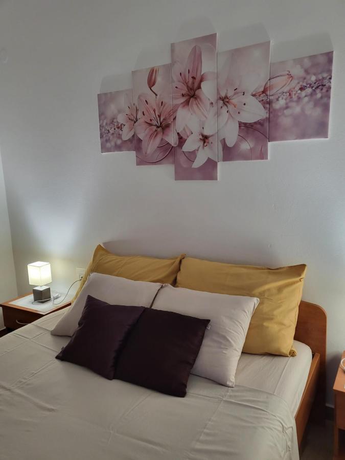 רוביני Licul Apartment מראה חיצוני תמונה
